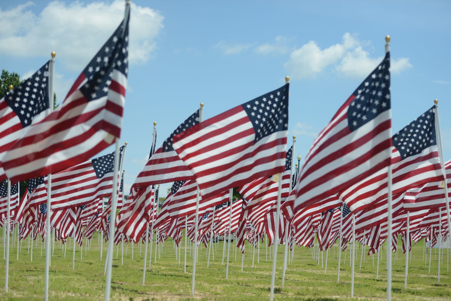 Flags 2.jpg